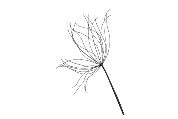 Review of Dandelion Seed Head Embroidery Design